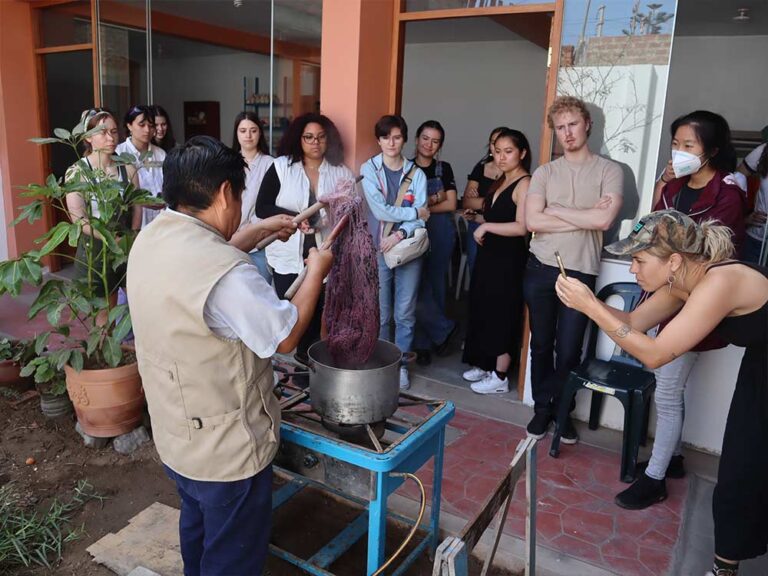 capacitación de teñido de lanas con tintes naturales